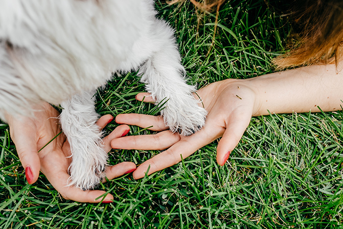 Will you help us be kinder to the planet?