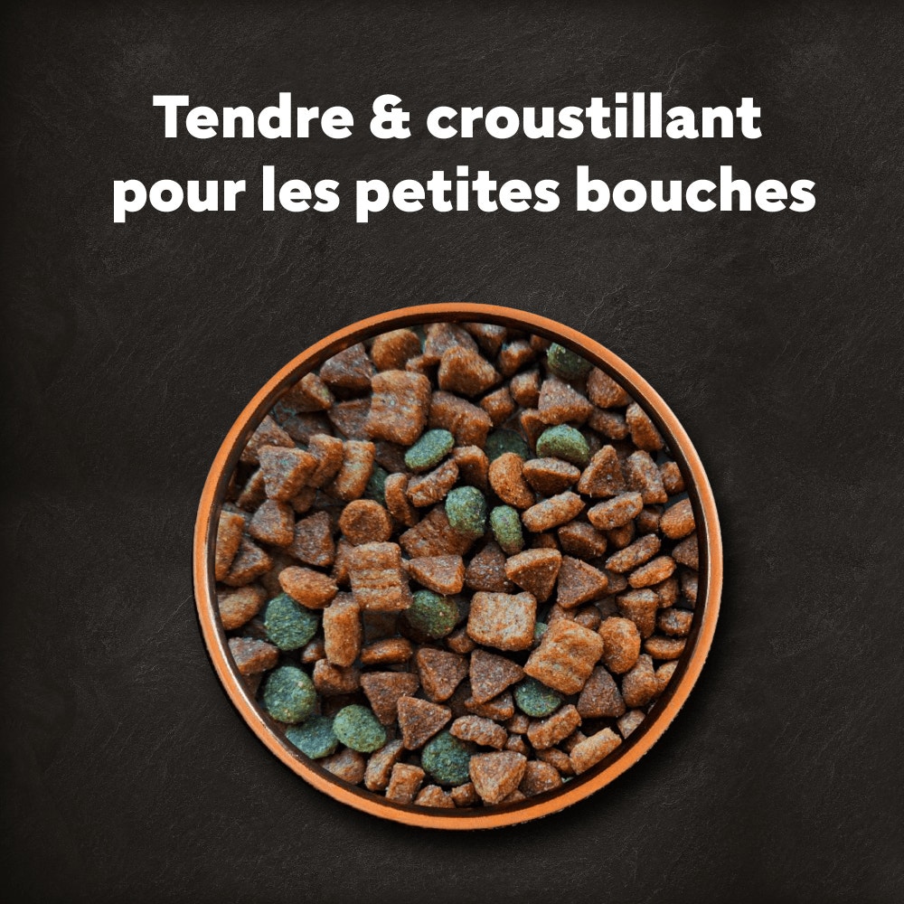 CESAR® Croquettes Adultes petite taille au Bœuf et Volaille fraîche 1.4kg - 2