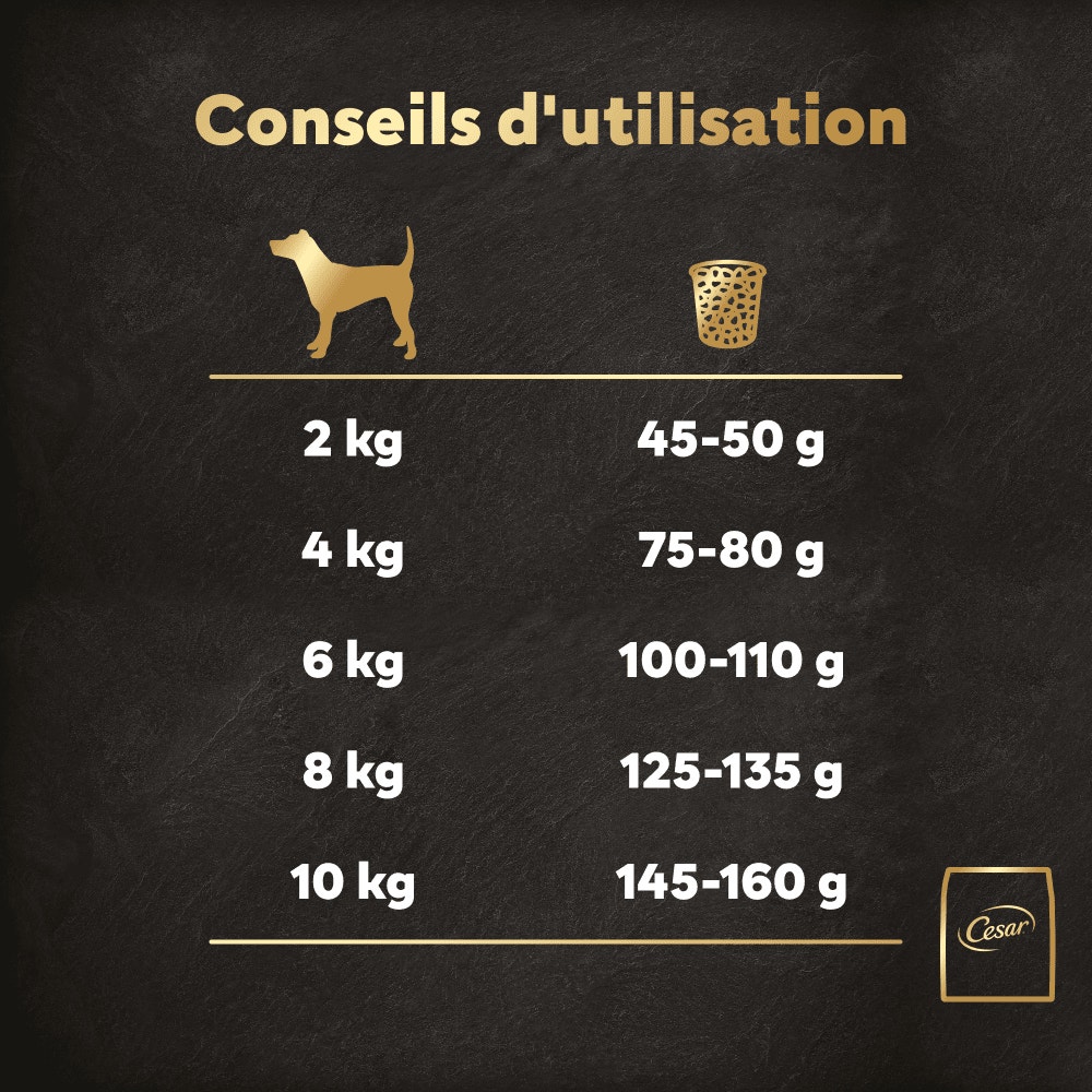 CESAR® Croquettes Adultes petite taille au Poulet et Saumon frais 1.4kg & 7kg - 5