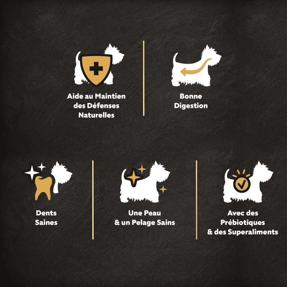 CESAR® Croquettes Adultes petite taille au Bœuf et Volaille fraîche 1.4kg - 6