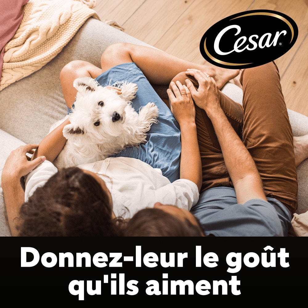 CESAR® Croquettes Junior petite taille au poulet frais 1.4kg - 5