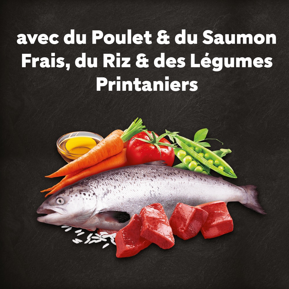 CESAR® Croquettes Adultes petite taille au Poulet et Saumon frais 1.4kg & 7kg - 3