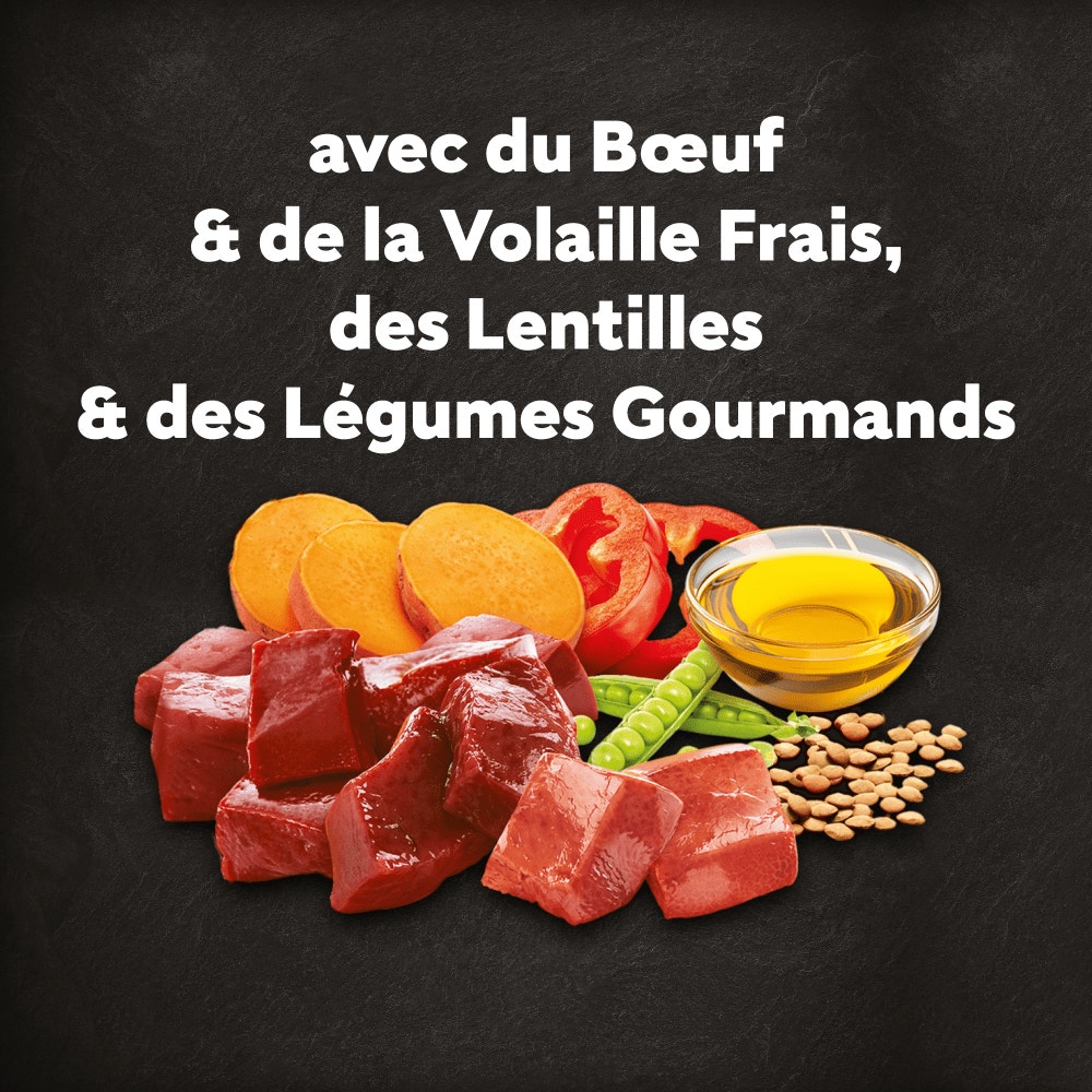 CESAR® Croquettes Adultes petite taille au Bœuf et Volaille fraîche 1.4kg - 3