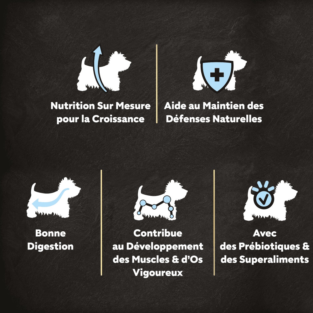 CESAR® Croquettes Junior petite taille au poulet frais 1.4kg - 6