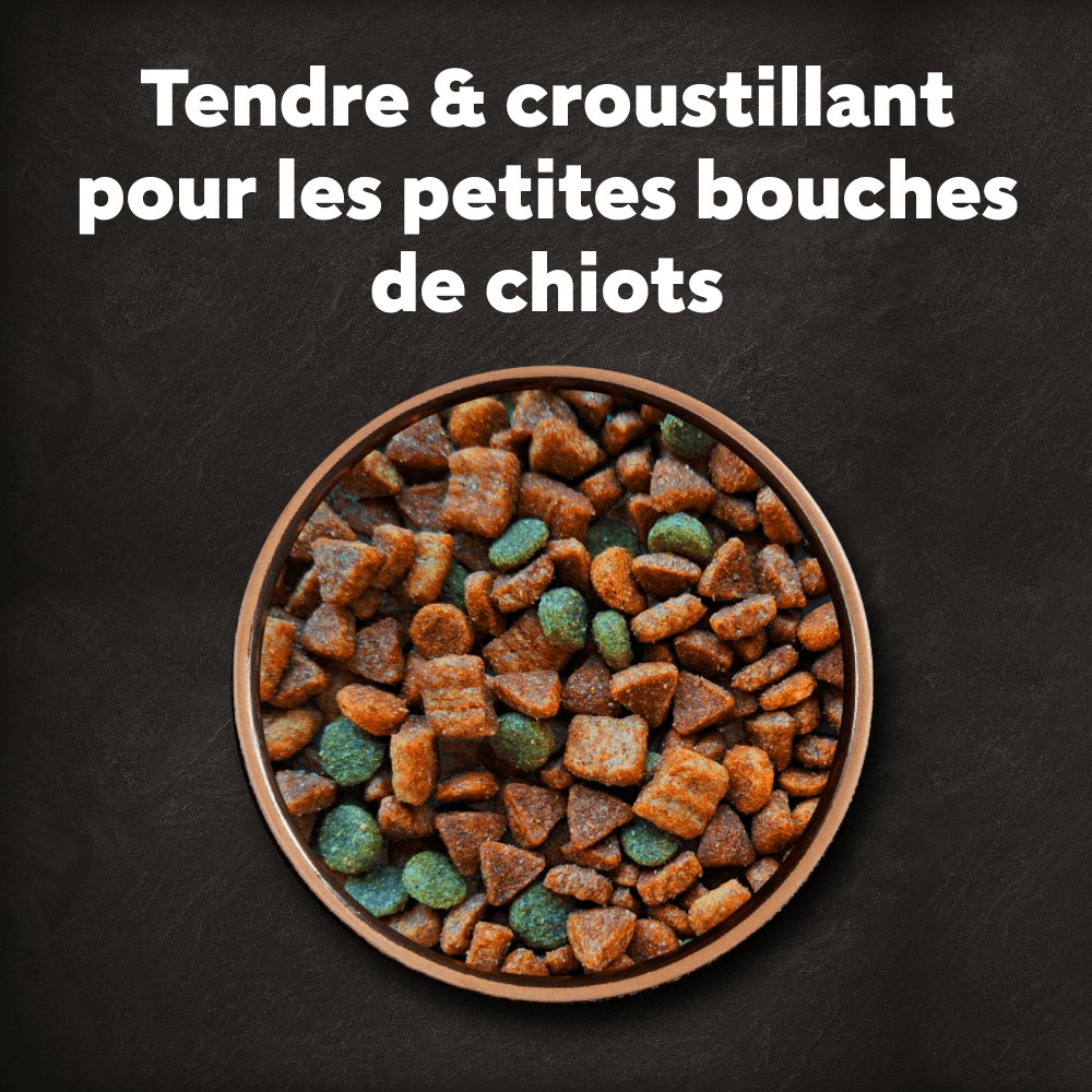 CESAR® Croquettes Junior petite taille au poulet frais 1.4kg - 3